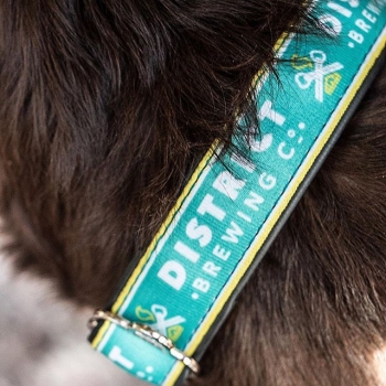Who else is buys their dog(s) Christmas gifts? We do 🙋🏻‍♀️
Gift your puppy a District Collar this year 🎁

Collars are made with bike inner-tube rubber and hand-sewn in Portland, Oregon. 50% of the profits from every collar sold is donated